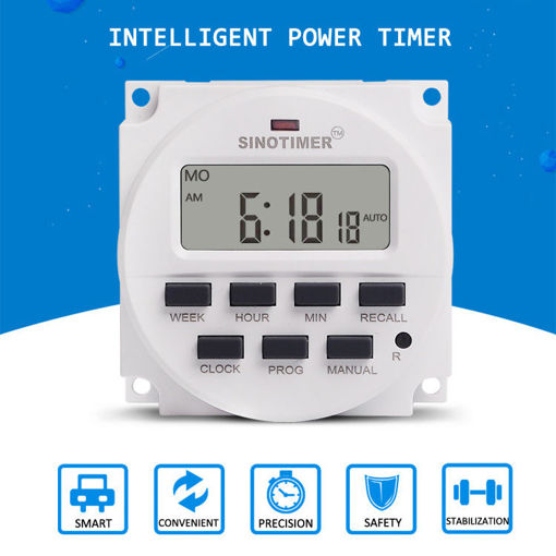 Immagine di 12V 24V 110V 220V Programmable Memory Plant Yard Lamp Timer Automatic Cycle Time Controller