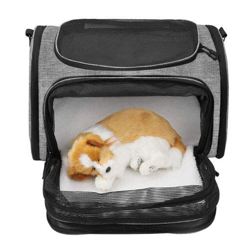 Picture of Pet Carrier Travel Backpack